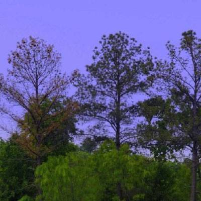 hth·华体育官方