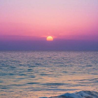 江南APP体育官方网站截图