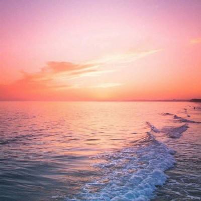 365平台下载手机版