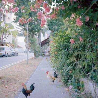 开云·kaiyun体育app下载