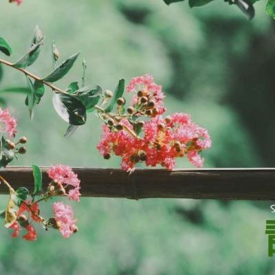 beat365手机版官方网站