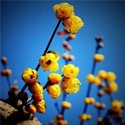 bte365真正的网站app下载