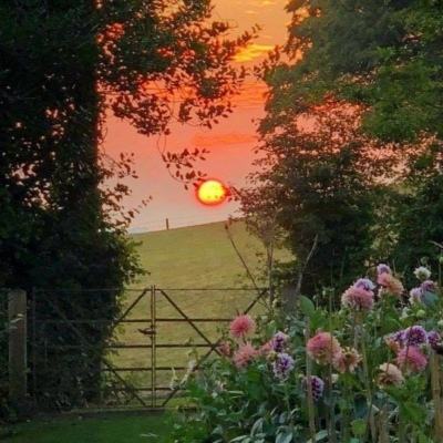 am8亚美ag旗舰厅官网下载手机版截图