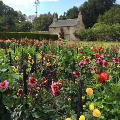 网易彩票最新版下载app