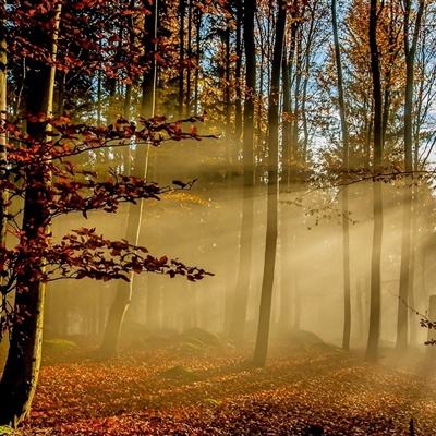 竞彩篮球app下载