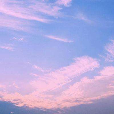 一肖三码下载手机版