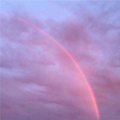 金沙app下载官网截图