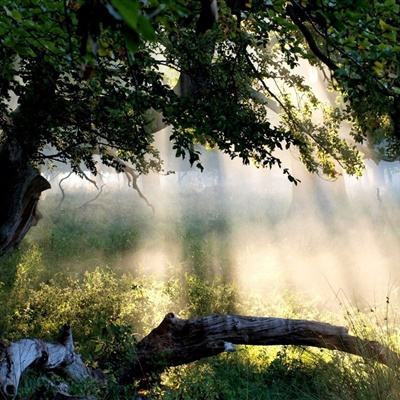 Bsport体育在线登录入口