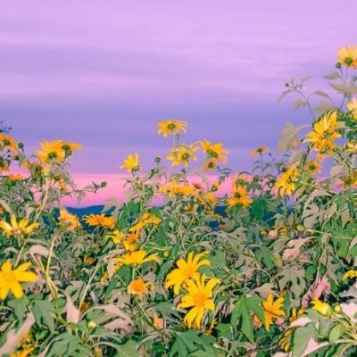 im电竞官网注册