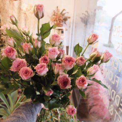 购彩中心welcome入口官方版下载手机版截图