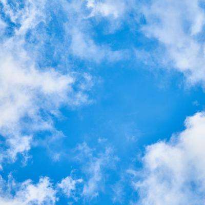 乐鱼体育下载手机版截图