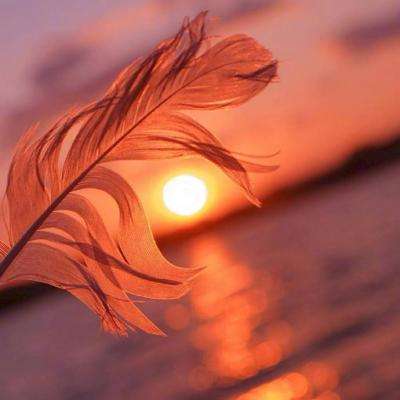 单机的打鱼游戏手机app下载