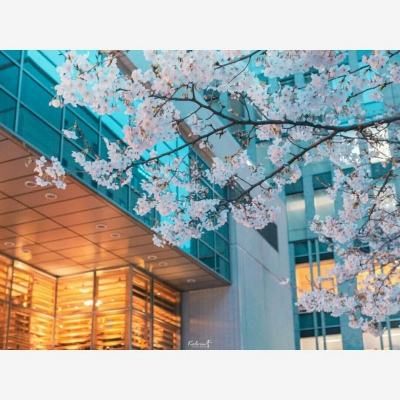 云开平台app最新版