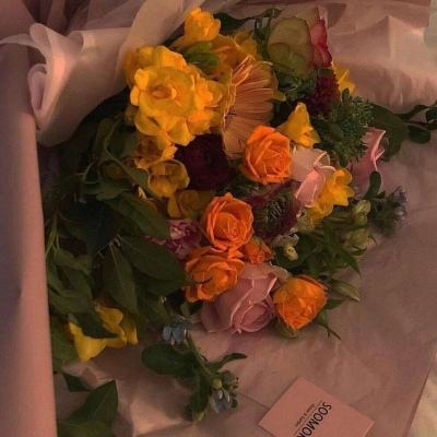 火狐体育下载app下载手机版