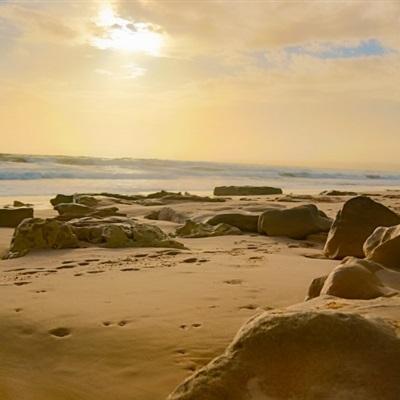 im电竞官方网站入口·官方网站