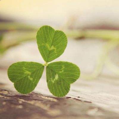 云开全站appapp下载