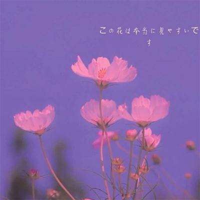 娱乐宝官网下载手机版