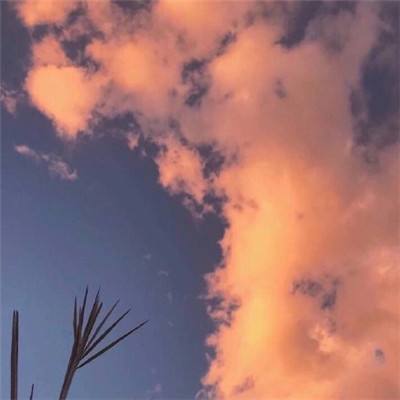 NG体育·(南宫)手机app下载截图