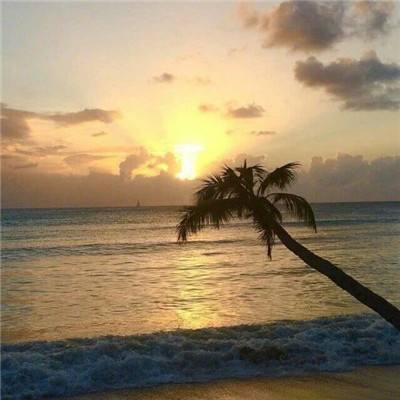 博鱼app手机app下载