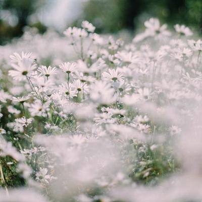 云开全站app下载手机版截图