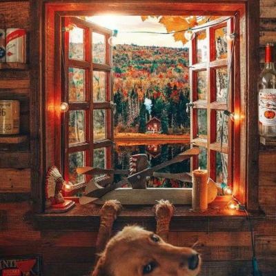 万博全站(ManBetX)下载手机版