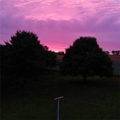 天博国际线上平台官网下载