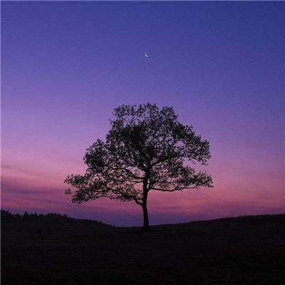 metatrader4官网下载