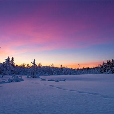 云开平台app最新版下载手机版