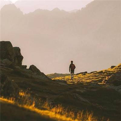 澳门4949资料免费大全