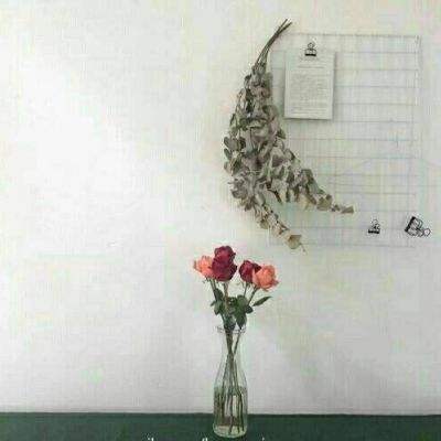 开元ky888vip下载手机版