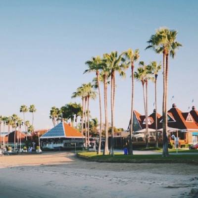 金沙集团186cc成色购买渠道