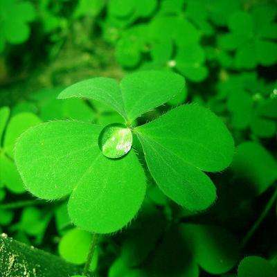 b体育手机版官网最新版本下载截图