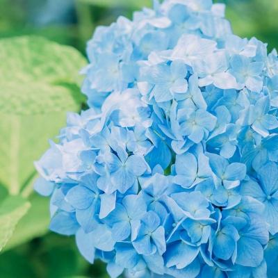 台湾福星彩下载手机版