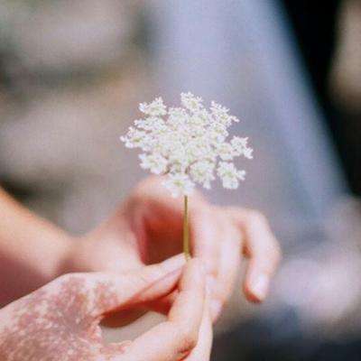 AG直装官方下载