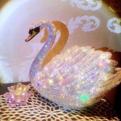 AG直装官方下载