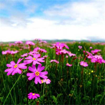 一分钟彩票app下载