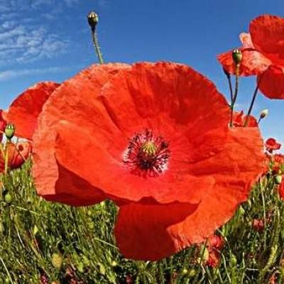 yabo网页版手机版截图