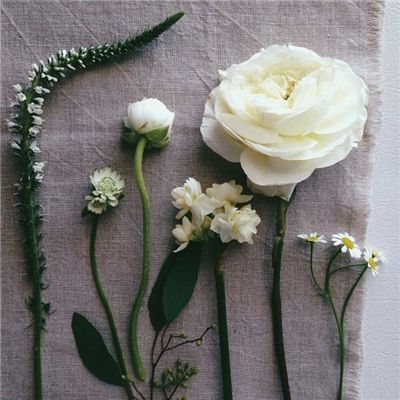 KOKapp下载手机版