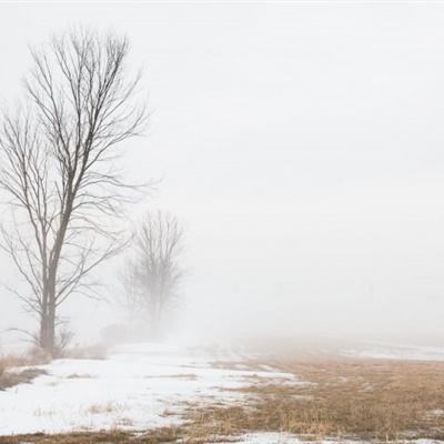 彩神8官网手机app下载