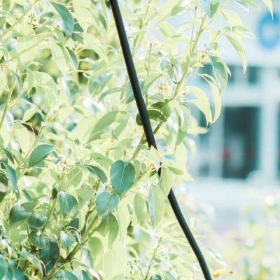 天博tb·体育综合官方网站