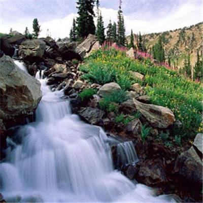 博鱼app下载手机版