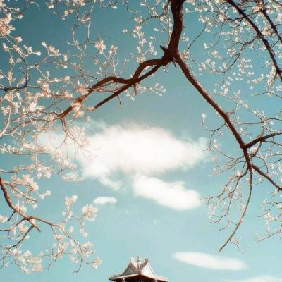 亚搏apo官网下载