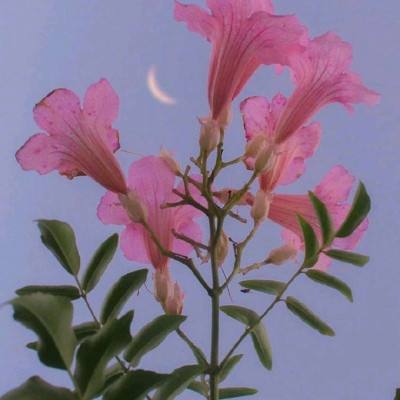 天博官网新版app下载安装教程