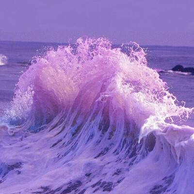 ag真人平台官方app下载