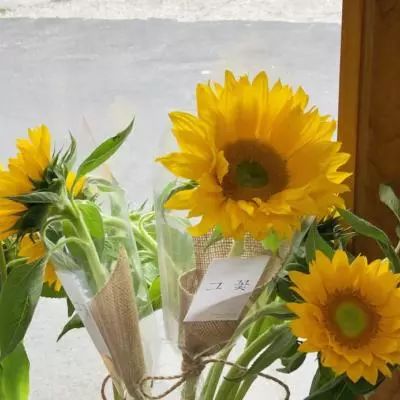 彩神app下载-登录入口