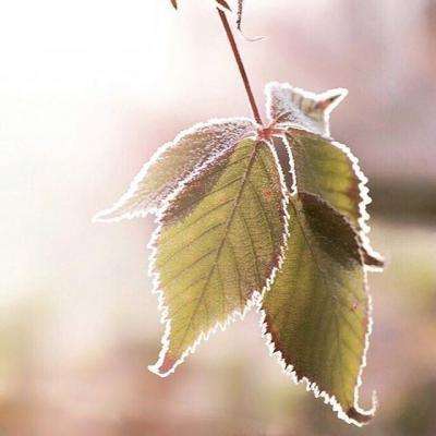 凯时AG登录入口