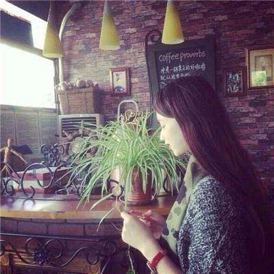 皇冠2登录平台首页截图