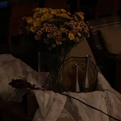 569vip威尼斯游戏