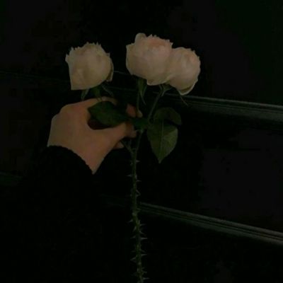 米乐m6下载罗纳尔迪尼奥