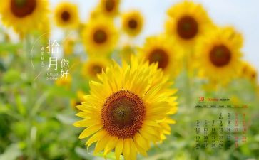 班主任10月份周工作计划7篇